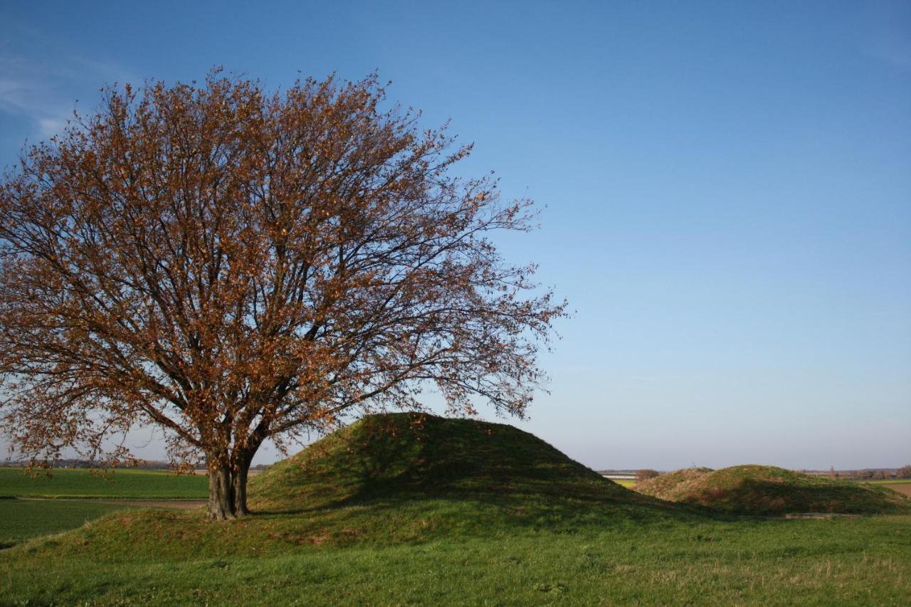 Hoeve Jadoul Gingelom Eksteriør billede